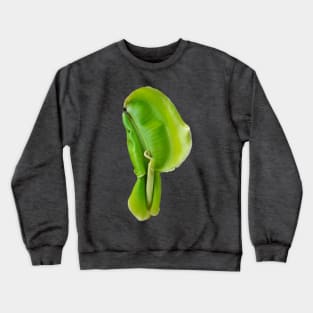 One banana leaf sprout looks like an ear auricle Crewneck Sweatshirt